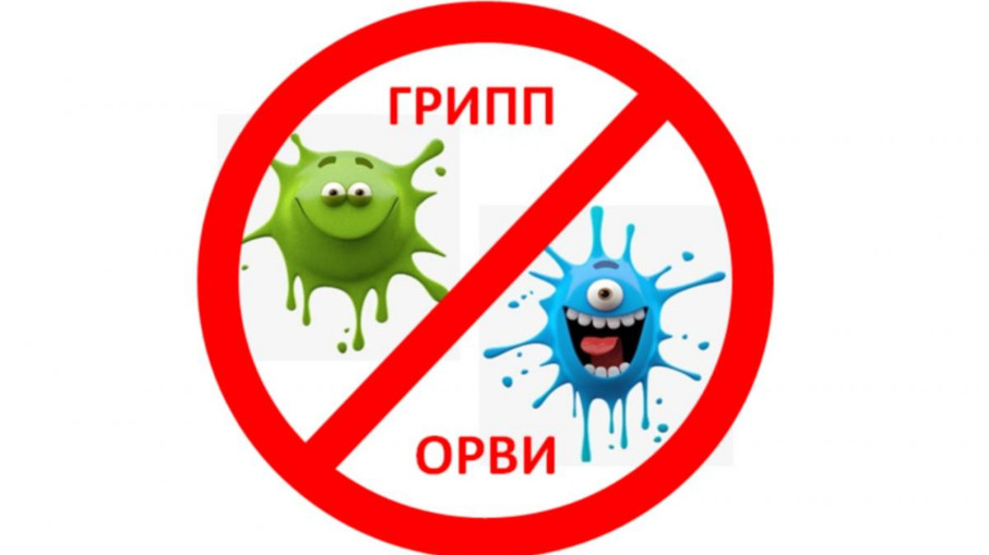Профилактика гриппа и ОРВИ Профилактика гриппа и ОРВИ.